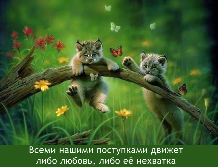 Любовь