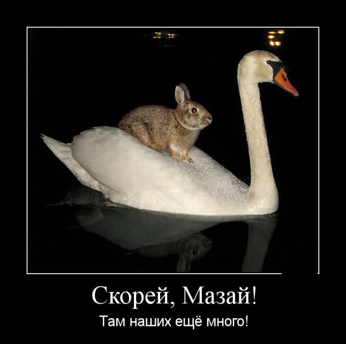 Скорей,Мазай!