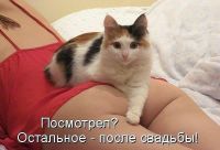 вот так!!! вот так!!!