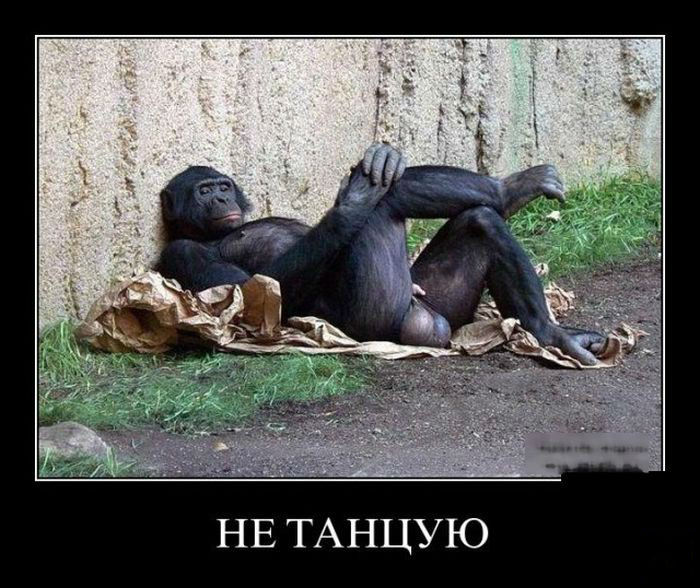 Не танцую