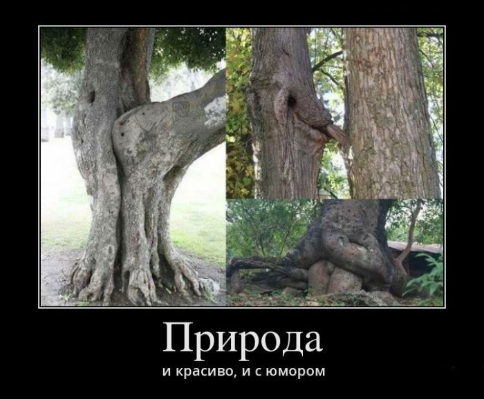 Природа с юмором