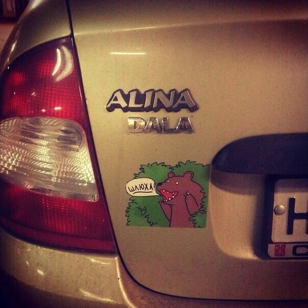 51e8abfbfd8cac1d30ba48137b4