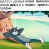 Ловля покемонов