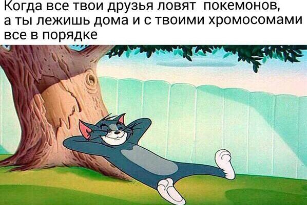 Ловля покемонов