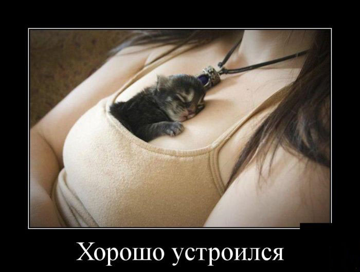 Хорошо устроился