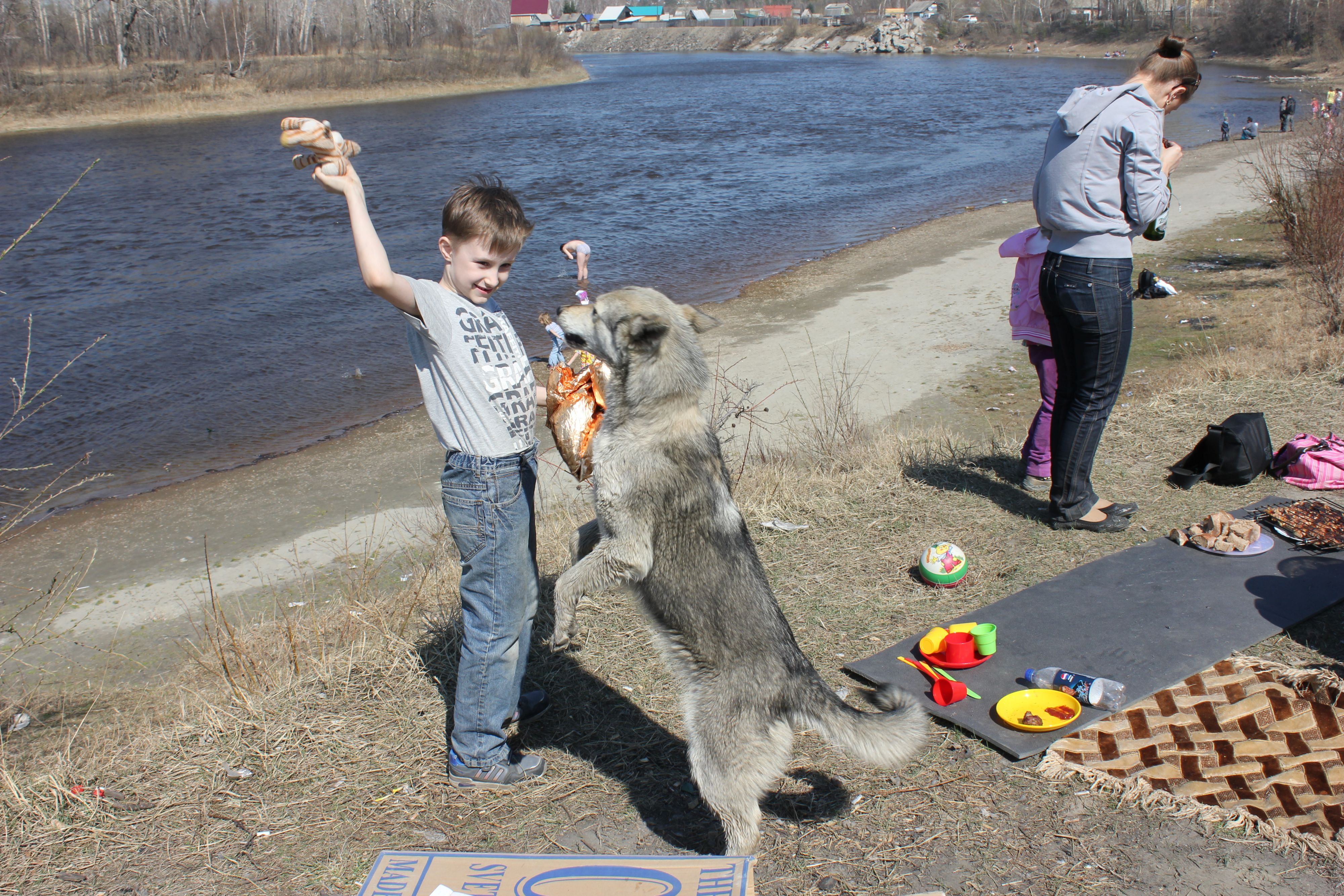 цирк уехал,сабак забыл,нас веселит,в подарок МаМке.