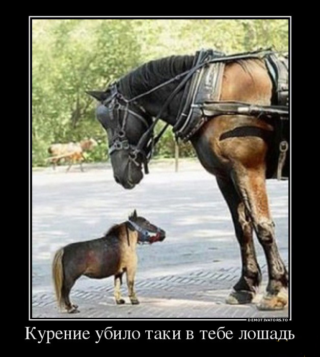 Курение