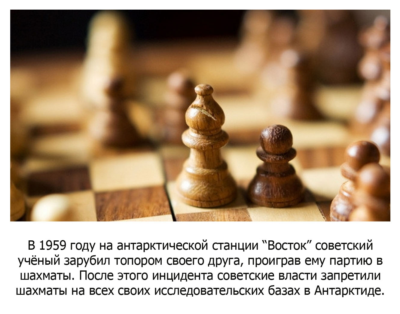 Шахматы в Антарктиде