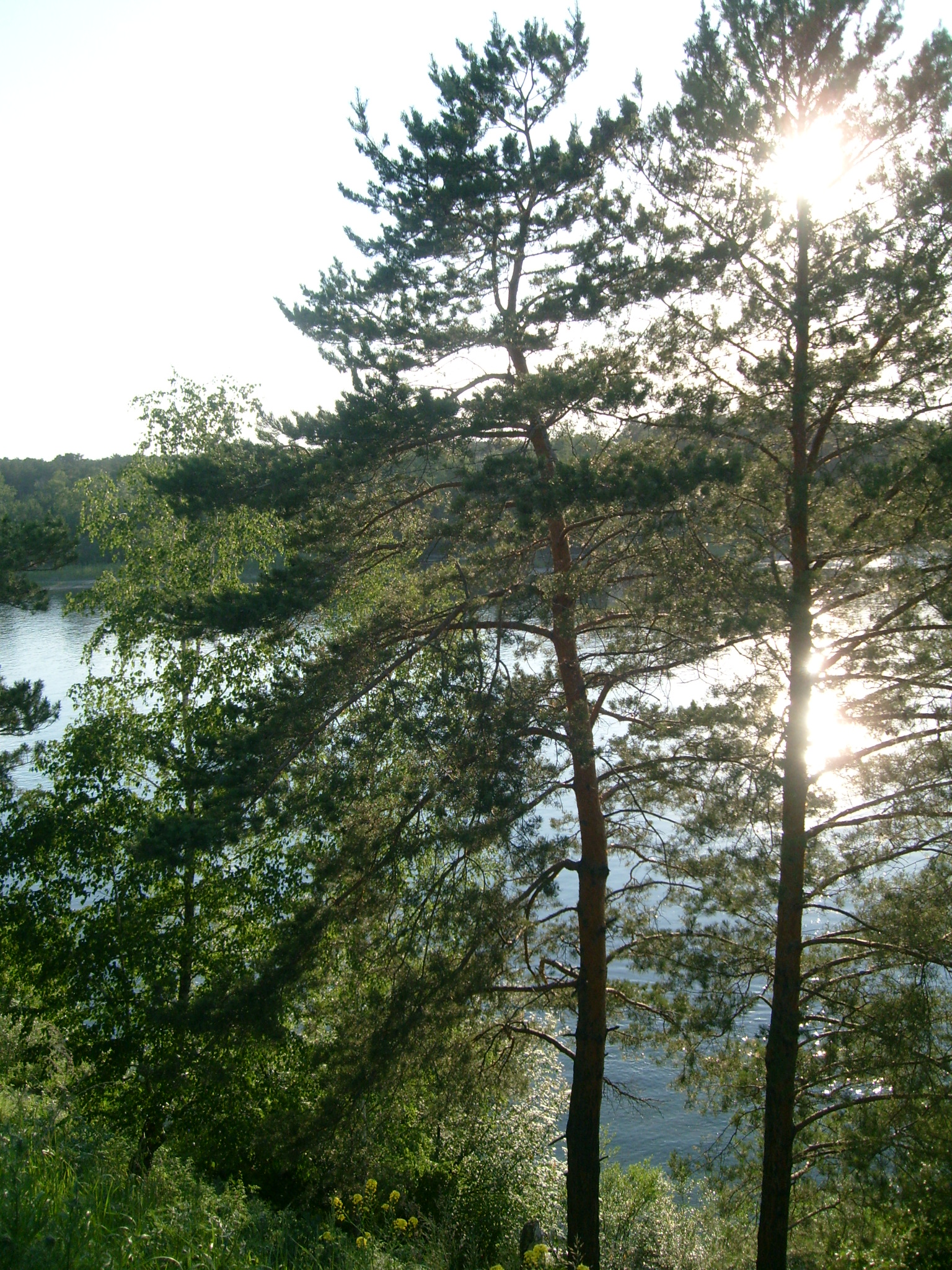 Китой за 95-м