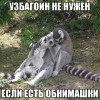 езли езть абнимажки)))))