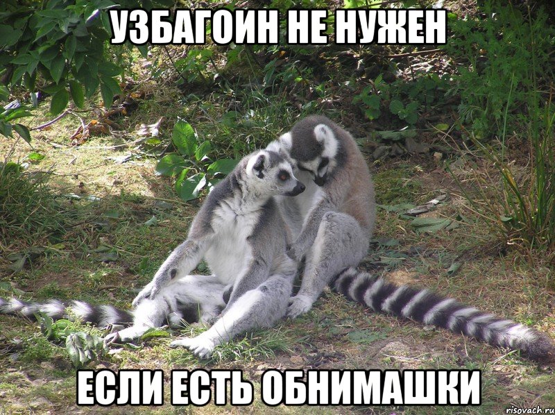 езли езть абнимажки)))))