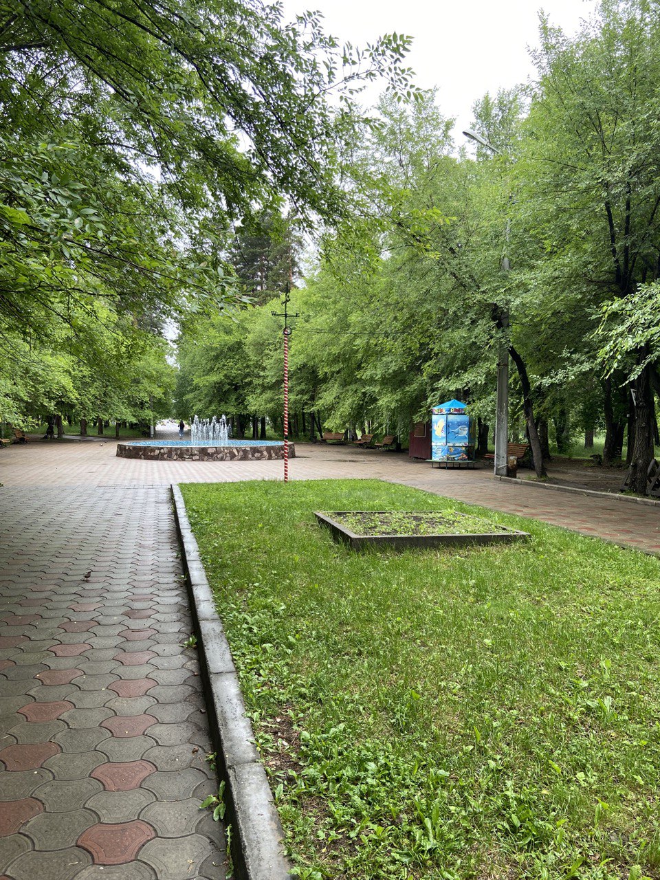 Парк, фонтан, июль