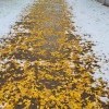 установление временного снежного покрова установление временного снежного покрова