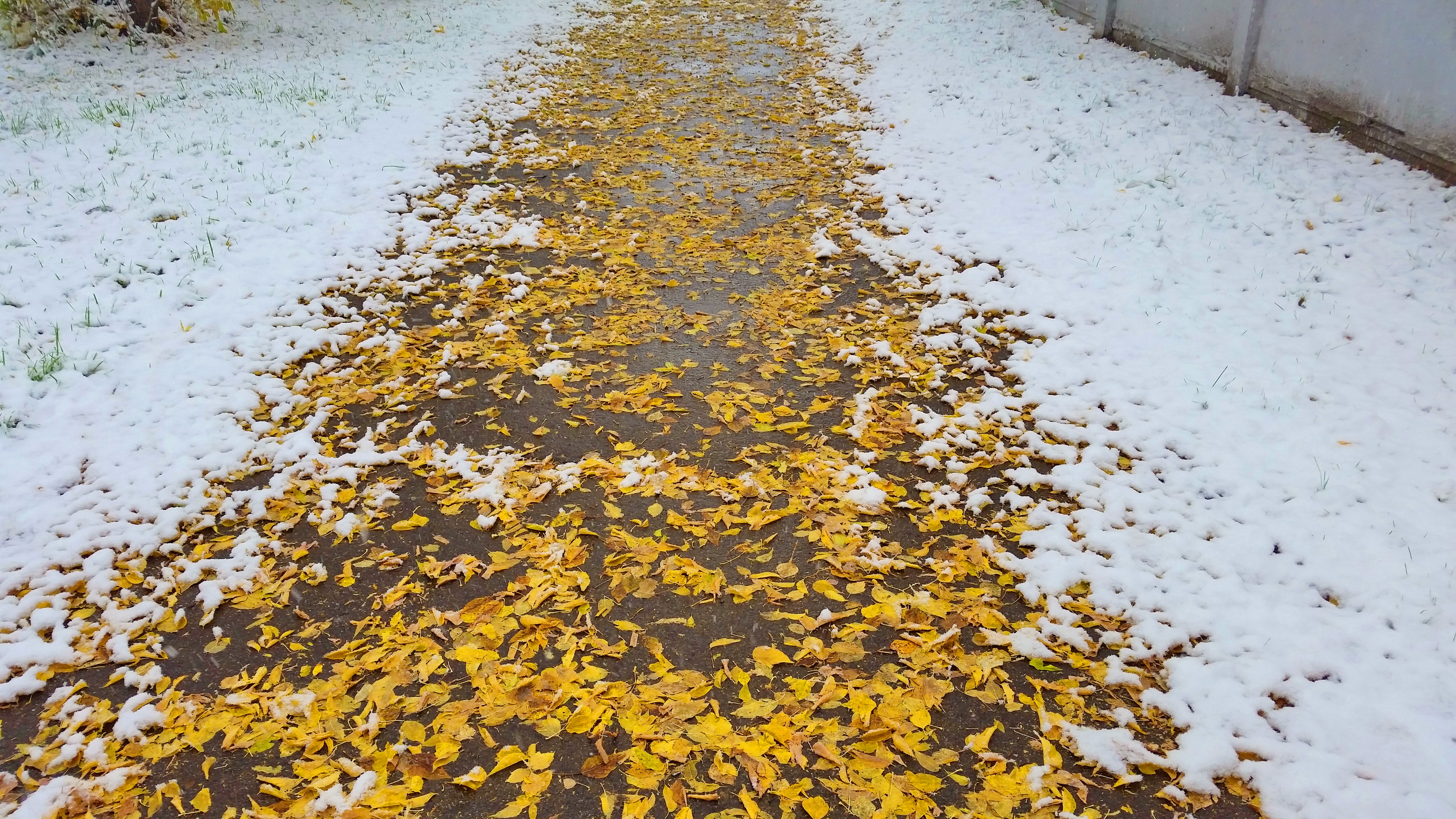 установление временного снежного покрова