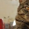 IMG 7874 IMG 7874