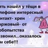 Хрен моржовый