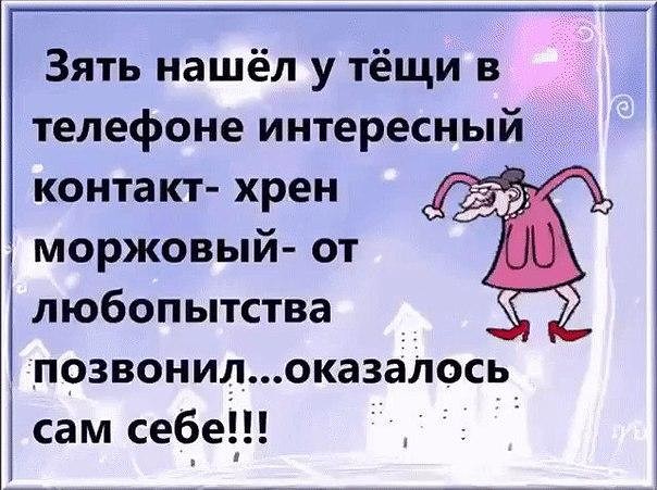 Хрен моржовый
