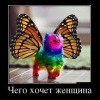 Чего хочет женщина Чего хочет женщина