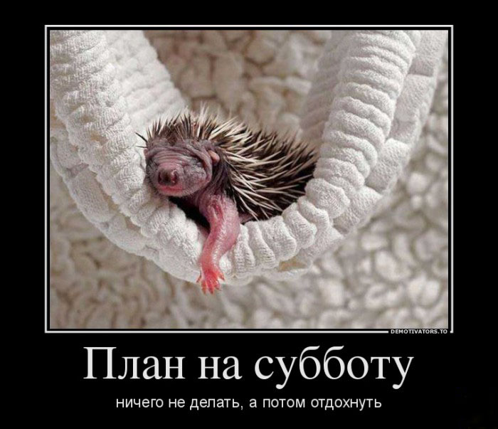План на субботу