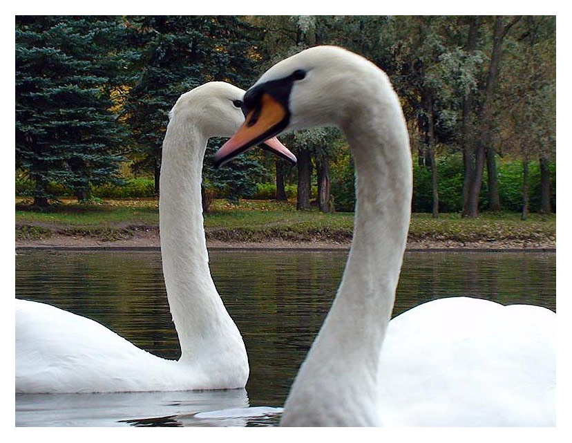 просто красиво