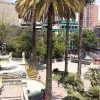 лужайка перед прохладунесущим фонтаном на холме святой Лусии