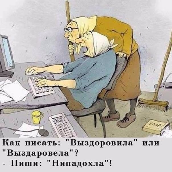 Нипадохла