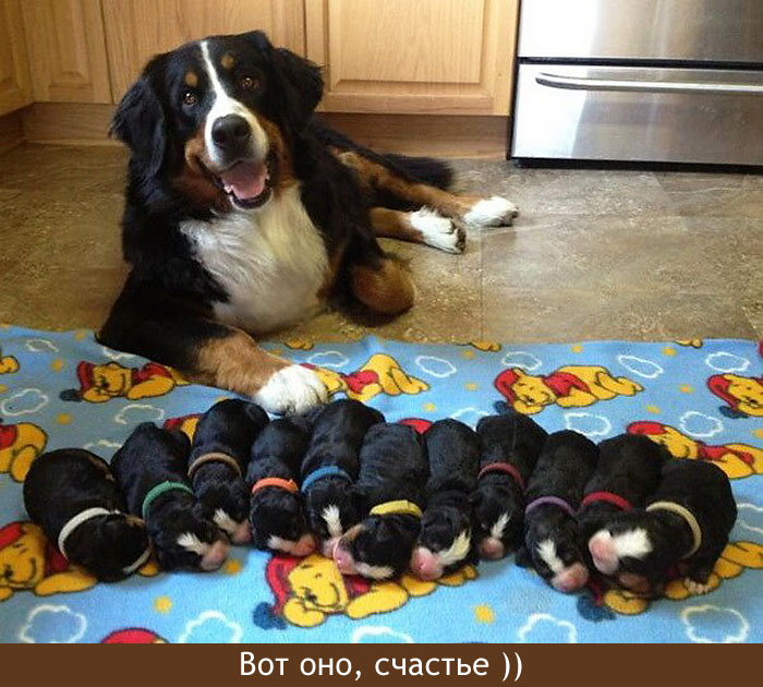 Вот оно,счастье