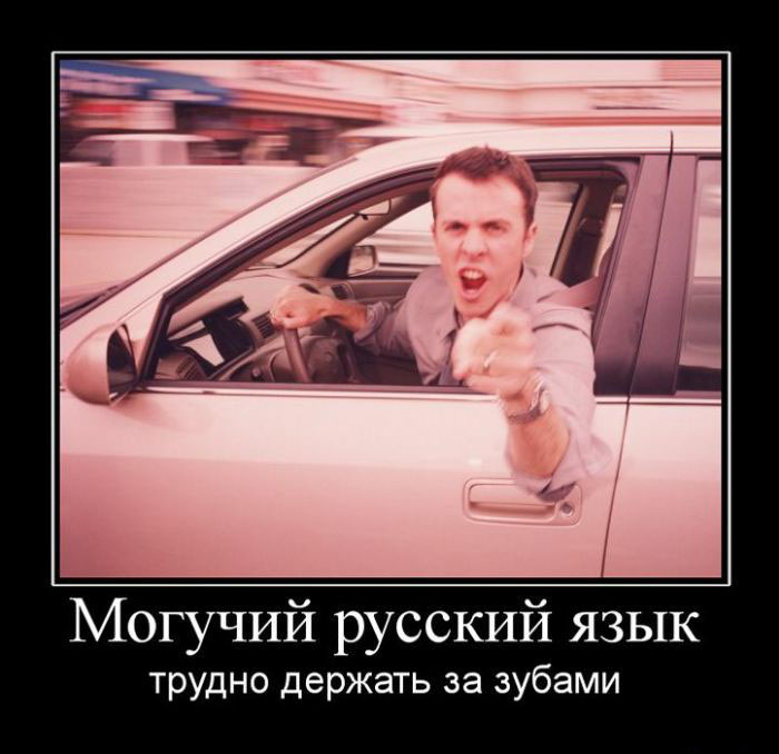 Могучий русский язык