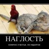 Наглость