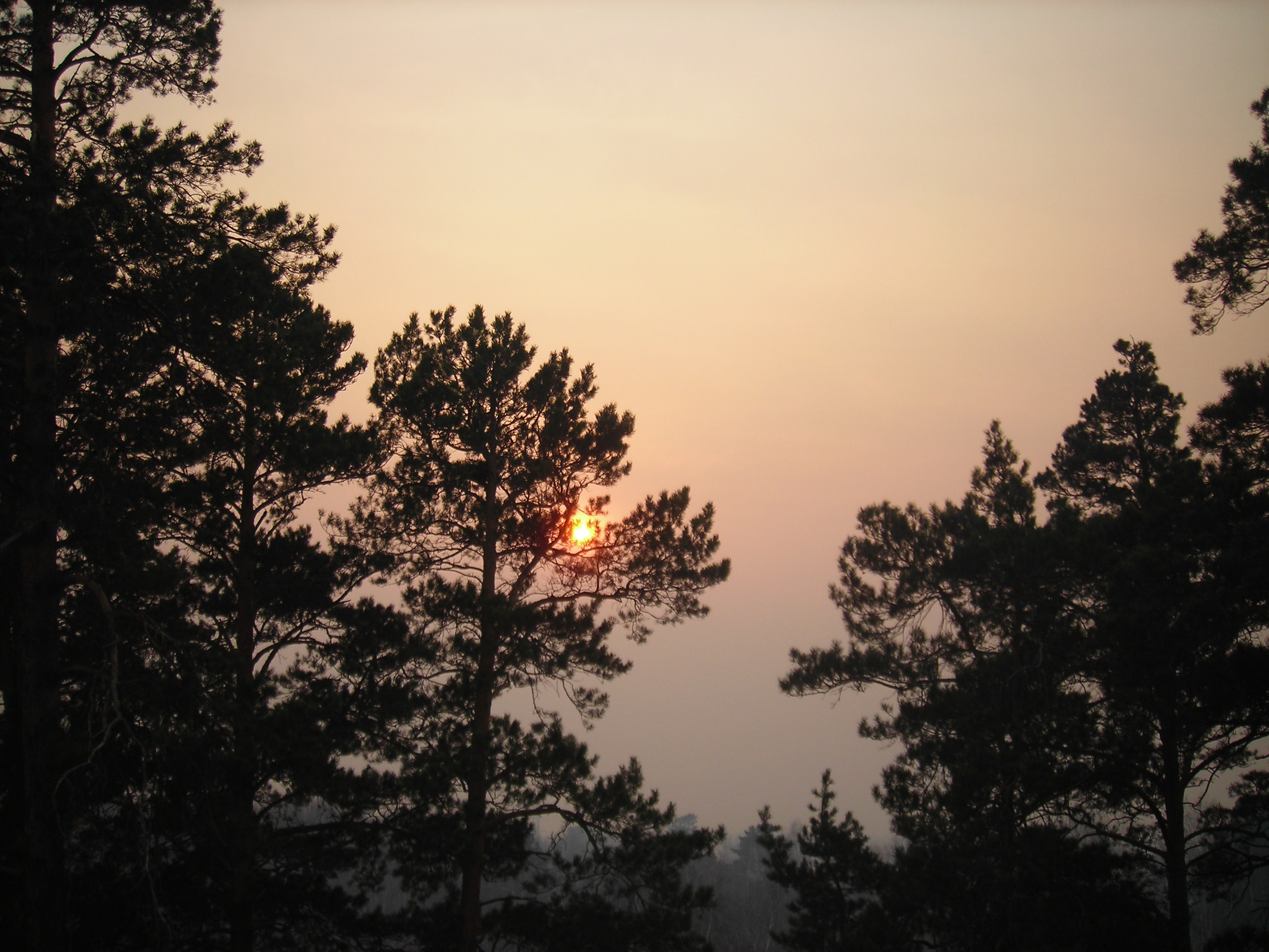 закат №4567889780