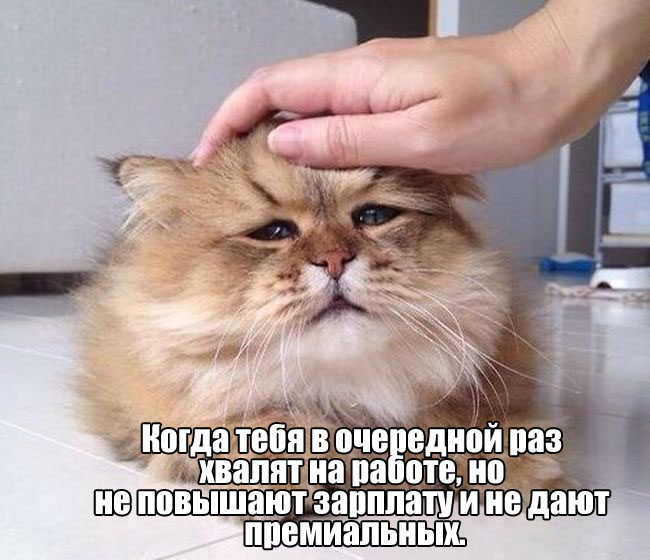 Похвала