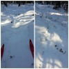есть что-то невероятно притягательное в троплении лыжни среди деревьев 
