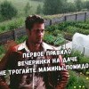 Вечеринка на даче Вечеринка на даче