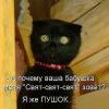 котэ