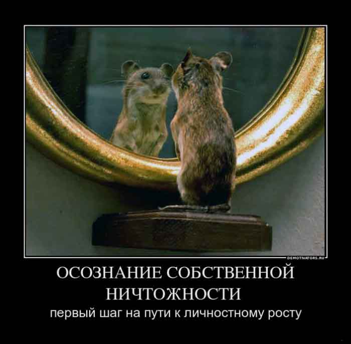 Осознание