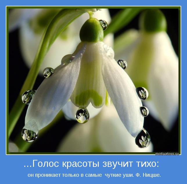 Голос красоты звучит тихо