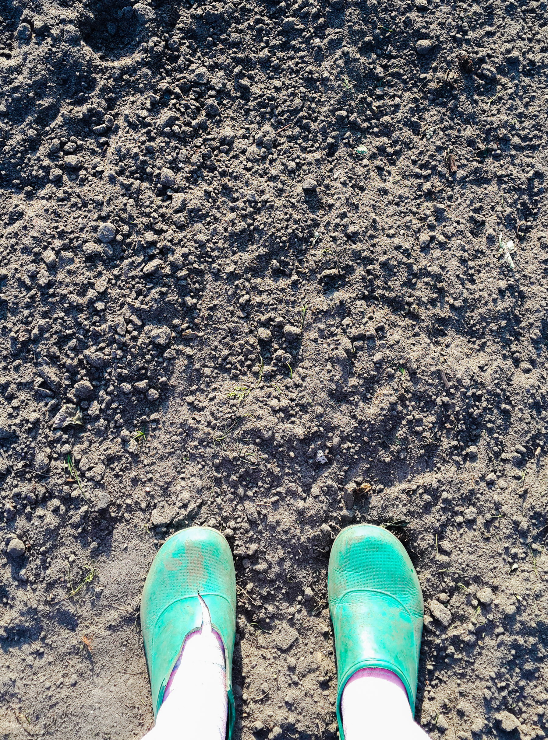 кто-то в зеленых тапочках 