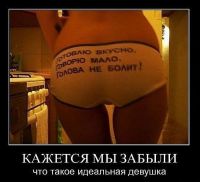 Идеальная жена Идеальная жена
