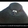 Ты чо?