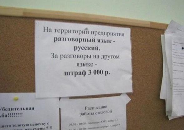 507d368b97c5477558bd73be09d prev