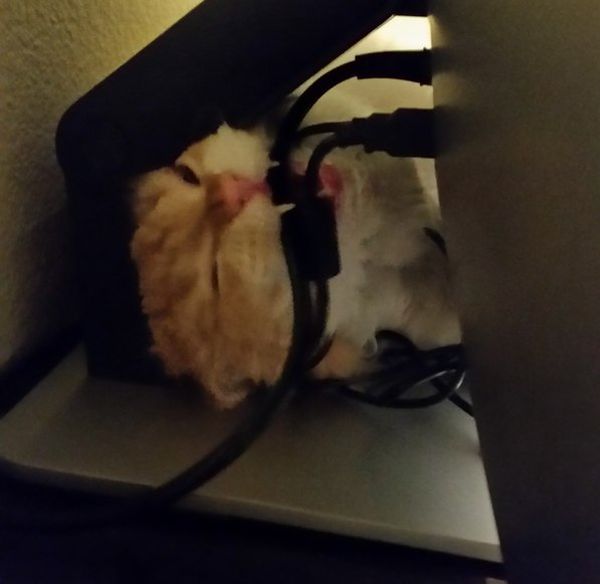 хотел выключить ЖА