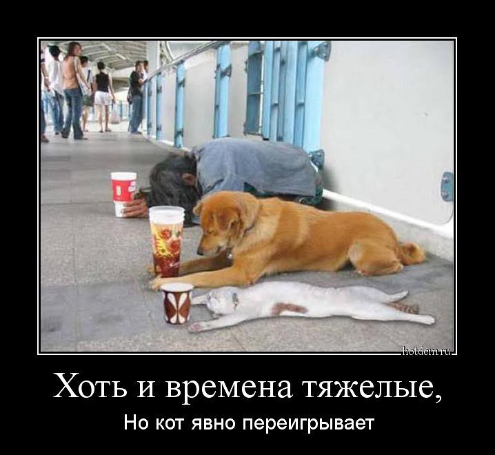 для настроения))