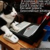 nemиn кот Васька))