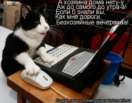 nemиn кот Васька))