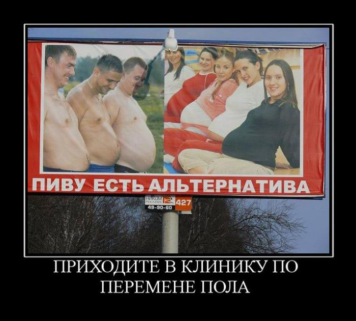 Альтернатива-пиву