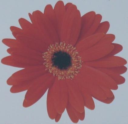 Сезон 1 - Задание 3