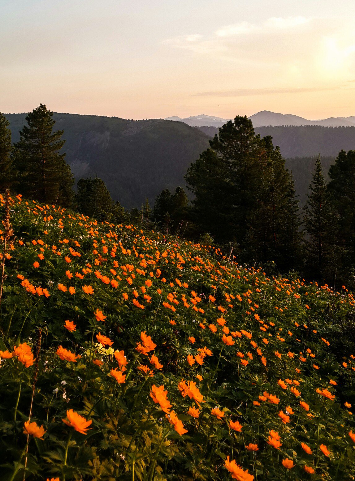 я спросил "зачем идете в горы вы?"