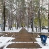 май у Силуэта))))) май у Силуэта)))))