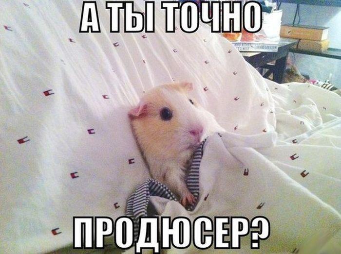 Продюсер