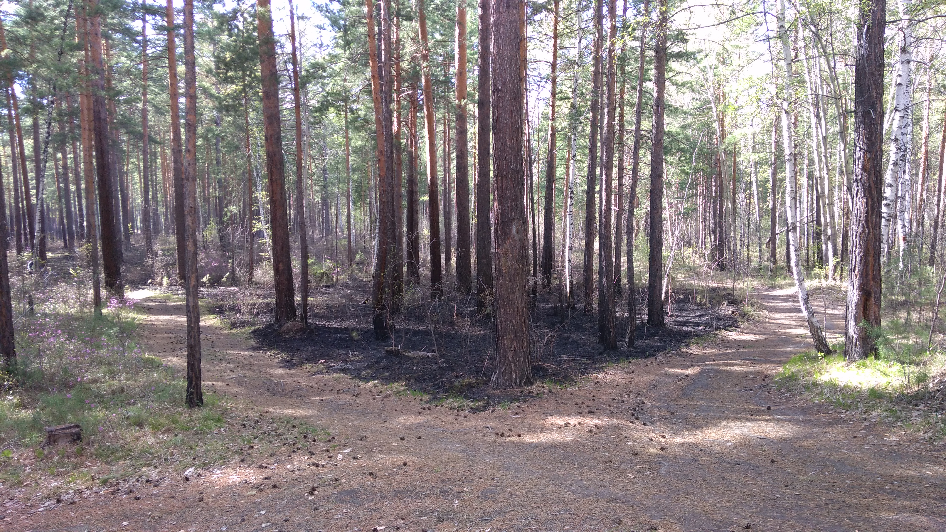 Водохранка: перекресток остановил пожар.